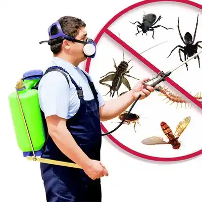 pest control Wheaton